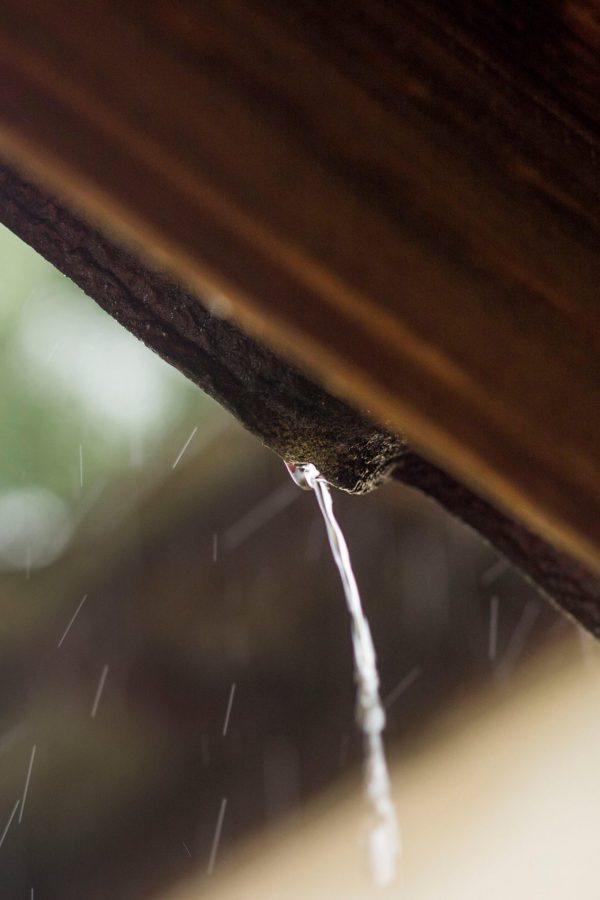 water-drops-dripping-from-wooden-eaves-after-rain-2026-03-17-00-00-46-utc